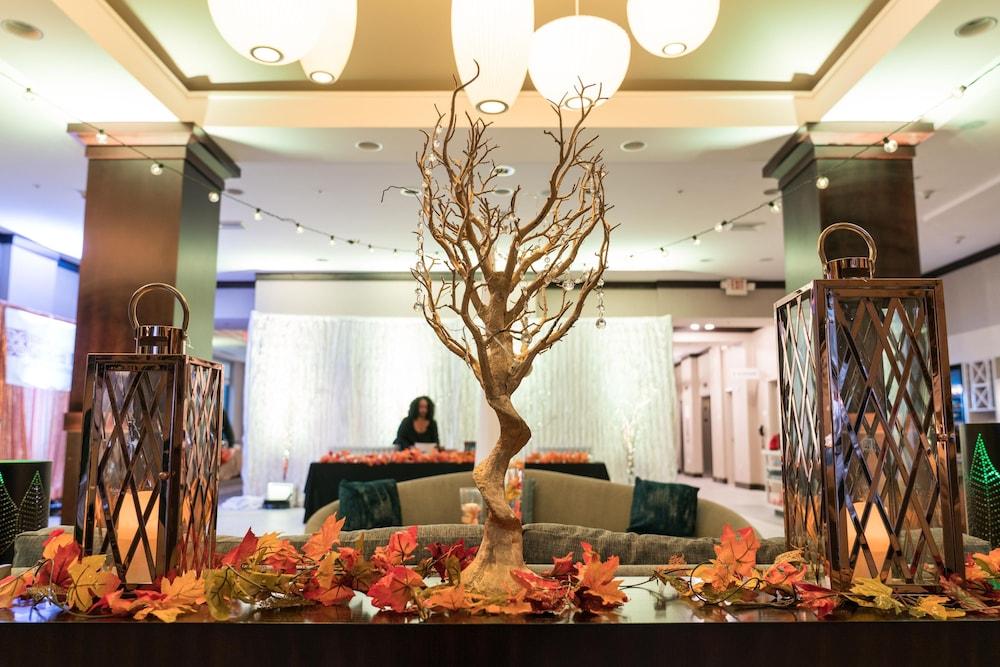 Hilton Garden Inn Shirlington Arlington Kültér fotó